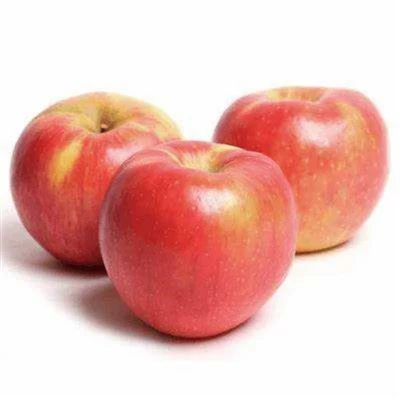 100 Red Star Apple